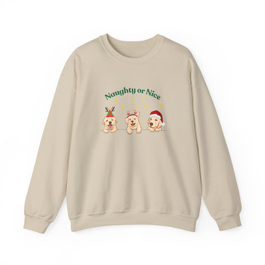 Festive Dog Sweatshirt, Naughty or Nice Sweatshirt, Holiday Apparel, Pet Lover Gift, Cozy Crewneck, Christmas Sweatshirt