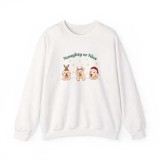 Festive Dog Sweatshirt, Naughty or Nice Sweatshirt, Holiday Apparel, Pet Lover Gift, Cozy Crewneck, Christmas Sweatshirt